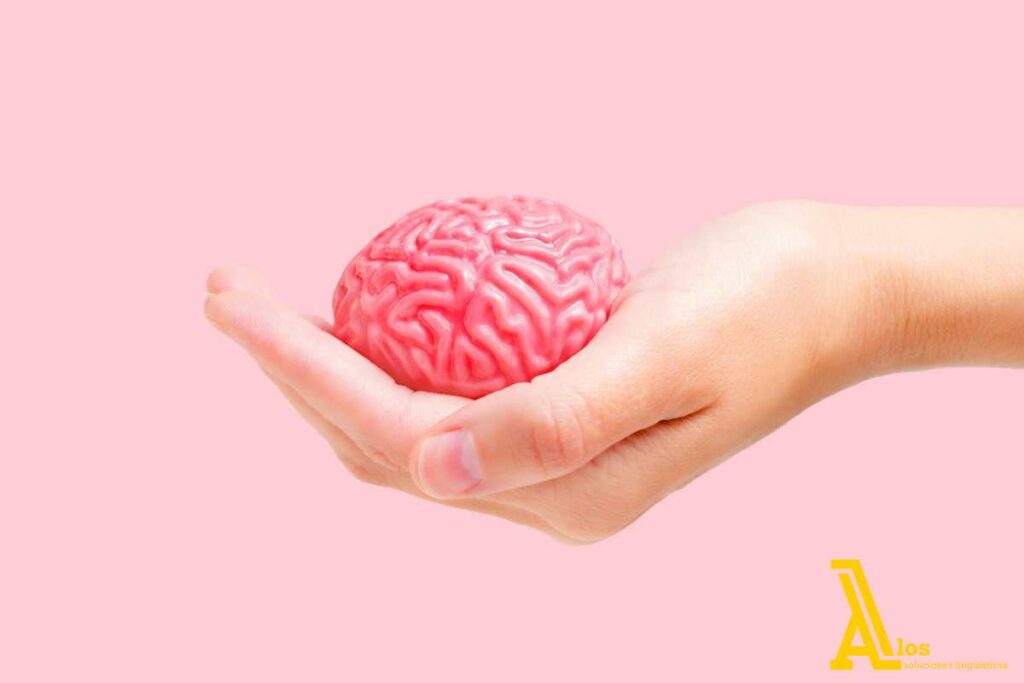 Beneficios neurológicos de aprender un idioma – Actividad cerebral y plasticidad cognitiva.