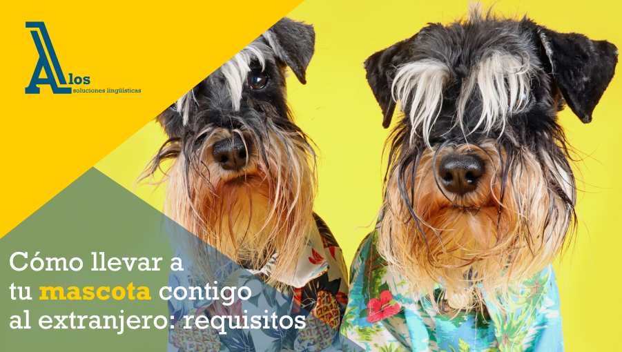 Perro con pasaporte y maleta listo para viajar