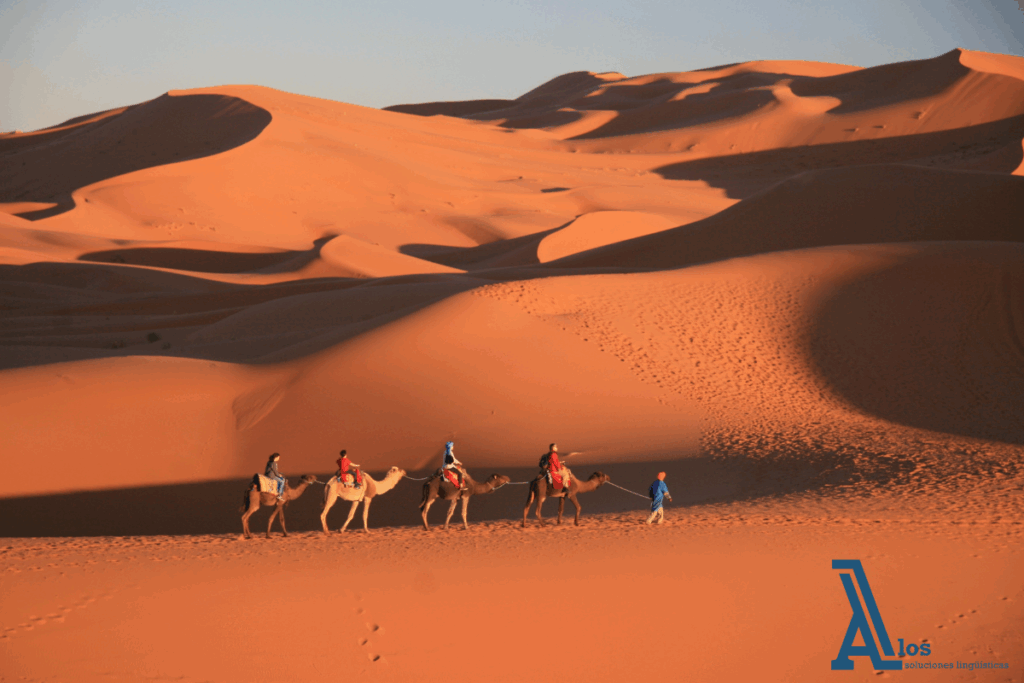 Paseo tradicional en camello por las dunas del Sahara en Marruecos