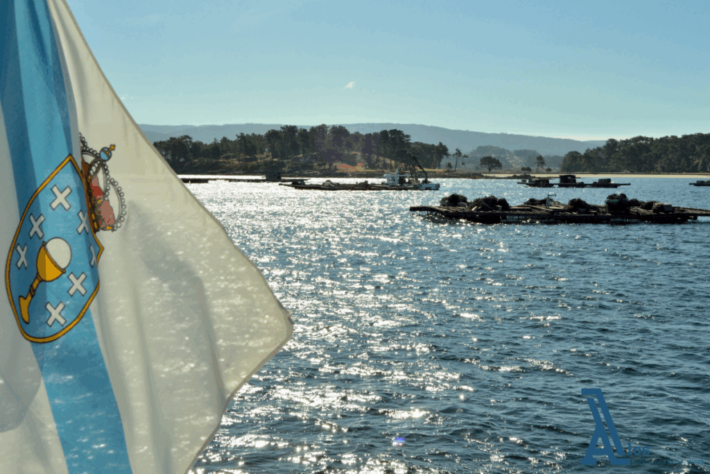 Bandera de Galicia ondeando frente a una ría con bateas marineras, símbolo del idioma y cultura gallega.